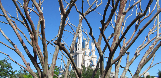 Malgré plusieurs voyages, ce que nous avons jamais fait à Walt Disney World