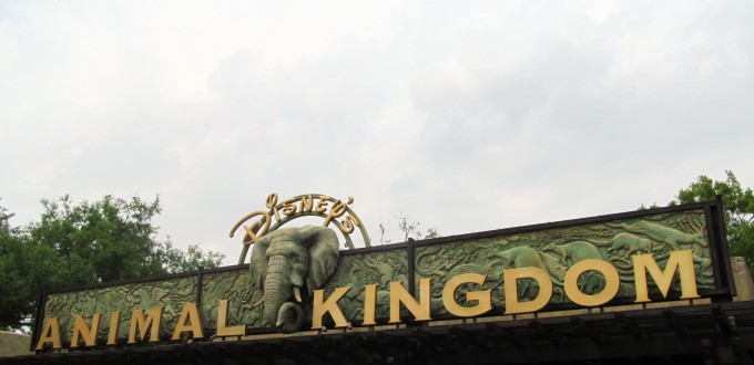 Liste complète des attractions de Disney&rsquo;s Animal Kingdom