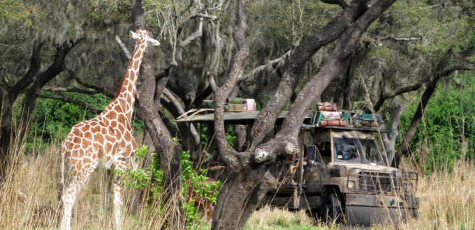 Top 5 des manèges à faire avec des enfants à Disney&rsquo;s Animal Kingdom en 2015