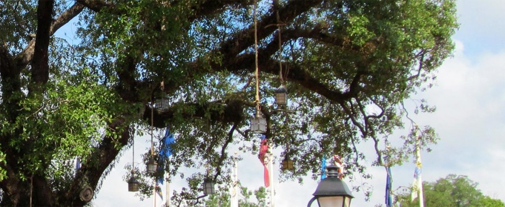 liberty-tree-lanterne