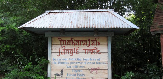 Maharaja Jungle Trek à Disney’s Animal Kingdom