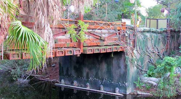 Le pont de l’entrée vers Pandora – The World of Avatar maintenant visible à Animal Kingdom