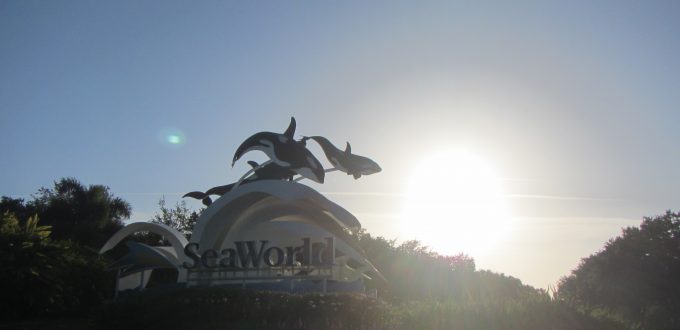 Le parc d’attraction Seaworld tout près de Walt Disney World