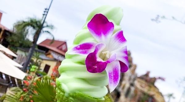 Des nouveautés sucrées pour l&rsquo;arrivée du printemps à Walt Disney World