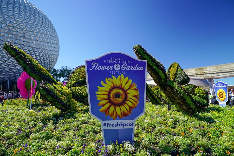 Une rencontre avec des papillons à Epcot