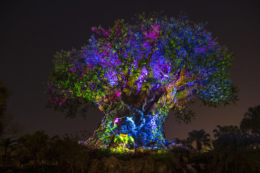 Tree of Life Awakenings et Beacon of Magic de retour à Disney’s Animal Kingdom en octobre