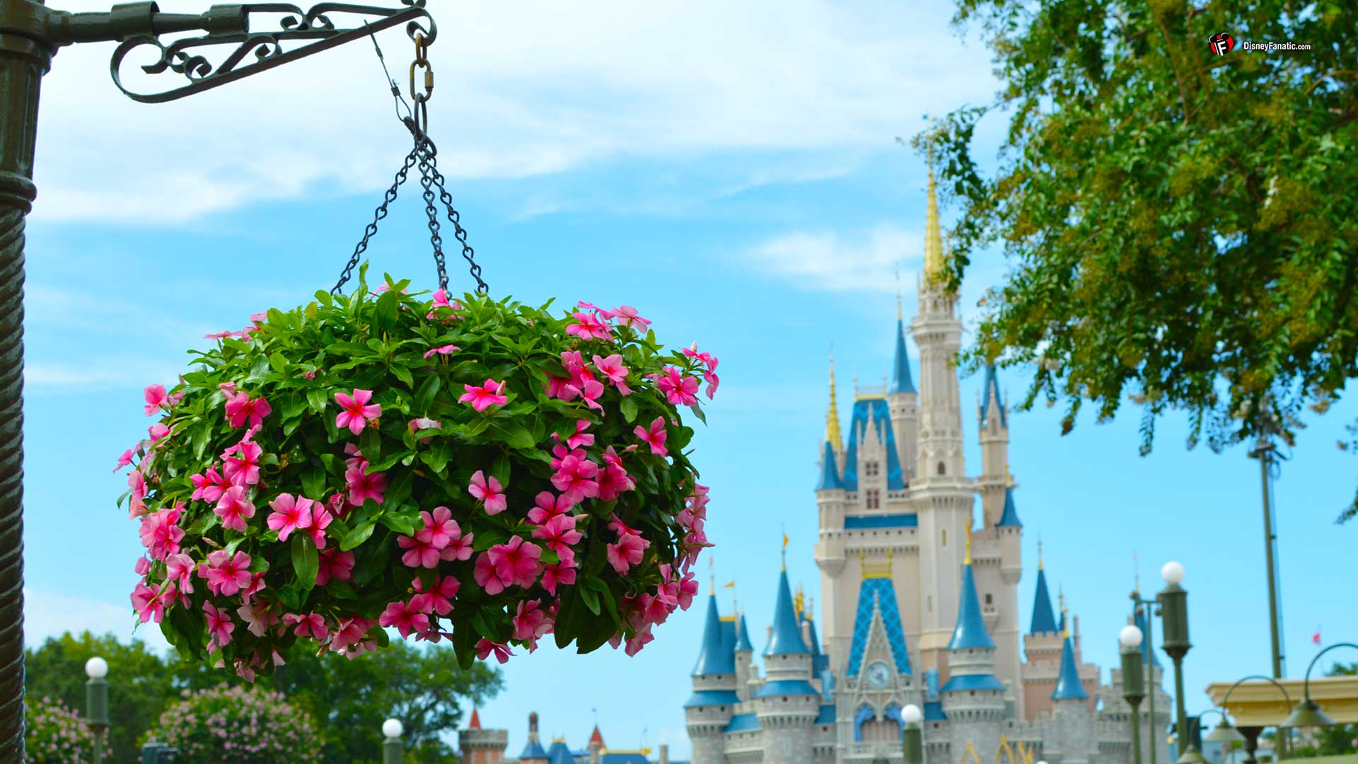 4 raisons de ne pas visiter Walt Disney World au printemps