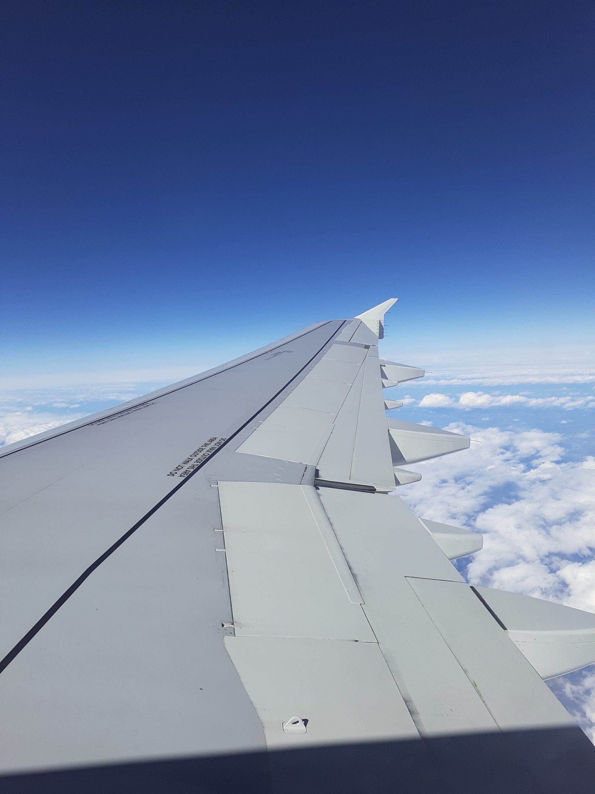 Petits conseils pratiques lorsque l’on prend l’avion pour Walt Disney World