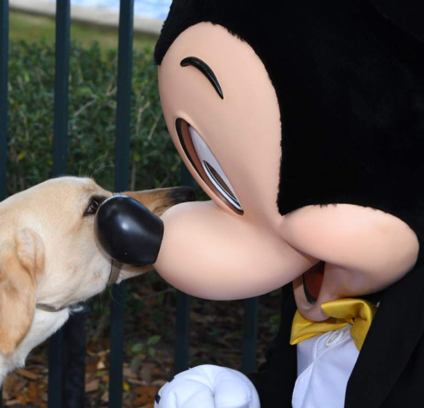 Quand les personnages Disney rencontrent le meilleur ami de l’homme!