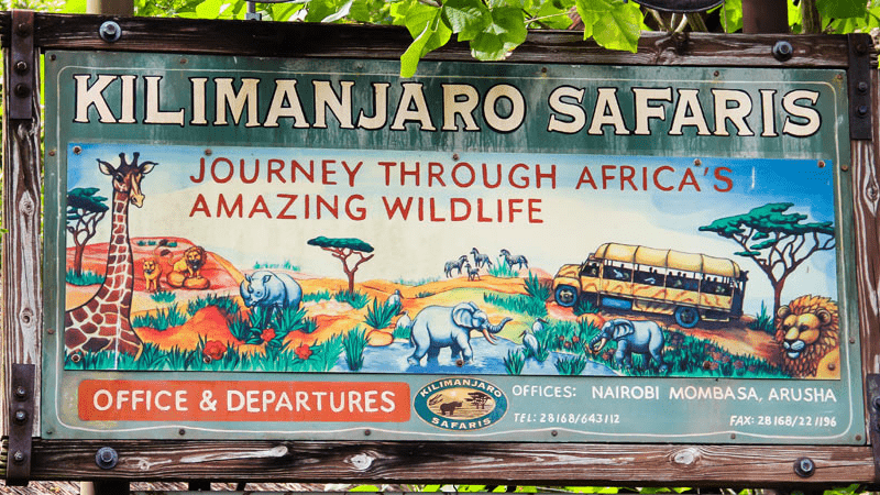 Le meilleur moment de la journée pour faire le Kilimanjaro Safaris à Animal Kingdom