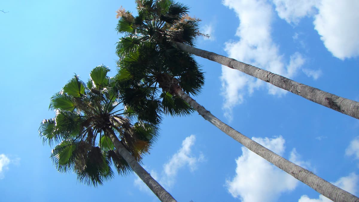 Histoire de la Floride