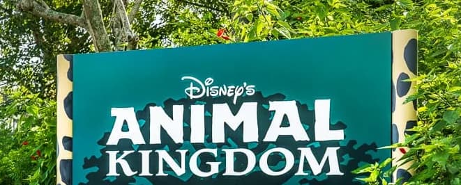 Seulement un expert du Disney’s Animal Kingdom connait ces détails!