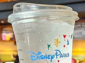 Comment rester hydraté à Walt Disney World