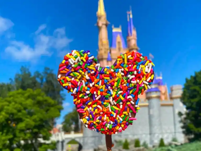 Focus sur un Disney Snack