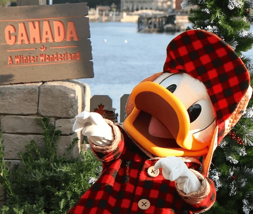 Le Project Maple est enfin résolu!