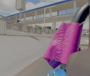 Le secret du Purple Flag de Walt Disney World